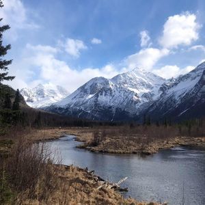 Meet your Posher, Wyatt